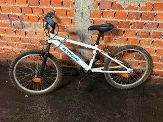 bicis de diferentes tamaños