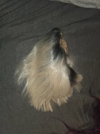 Peluca con lacefront, color platino