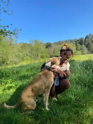 Cuidadora y peluquera canina titulada