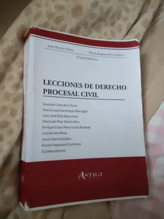 Lecciones de derecho procesal civil