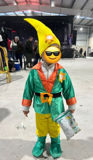 Disfraz familiar Duende Bosque Niño/Adulto