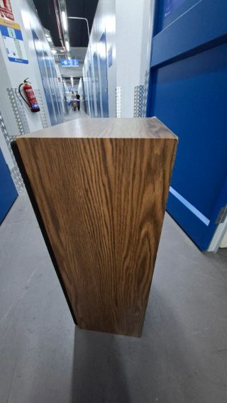 Jensen C310 altavoces vintage