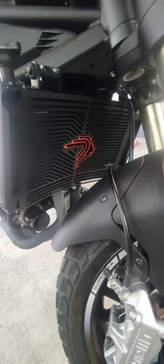 Benelli Leoncino 800 A2