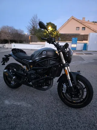 Benelli Leoncino 800 A2