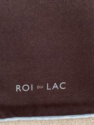 Pañuelo de seda Roi Du Lac 42 cm