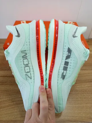 Nike Pegasus Premium talla 41 44