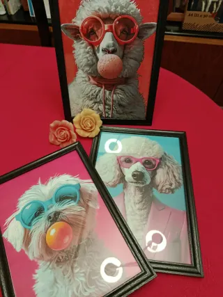 Cuadros Únicos Composiciones