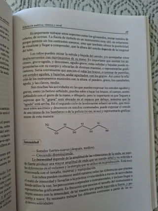 Didáctica de la música