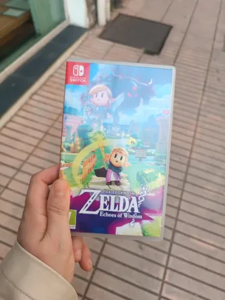 Zelda echoes of wisdom