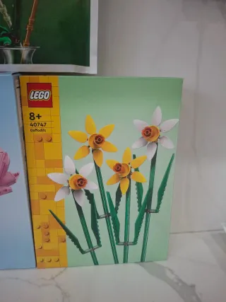 Bellissimo set lego botanicals
