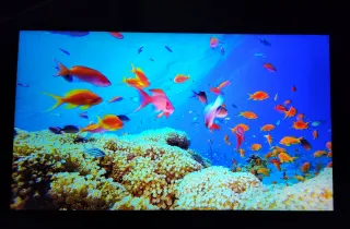 Asus ROG Strix G513RM Ryzen 6800H,2K 32GB,RTX3060