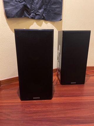 Altavoces Wunderton 100 watts