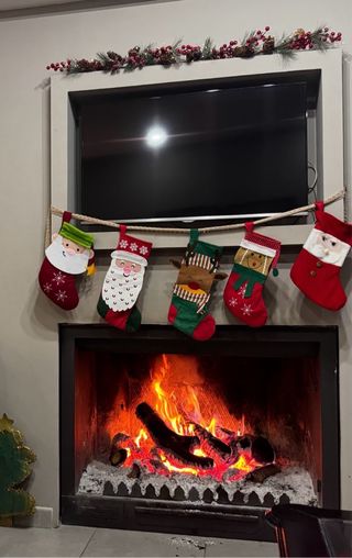 Chimenea de leña grande con pantalla y parrilla