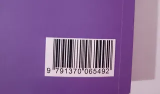 El extranjero en el Derecho español