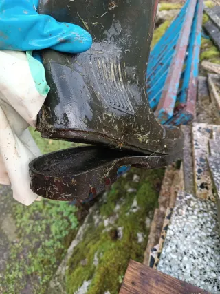 Botas Dunlop Negras Talla 42