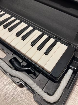 Melodica student 32