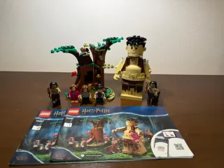 Lego Harry Potter Set