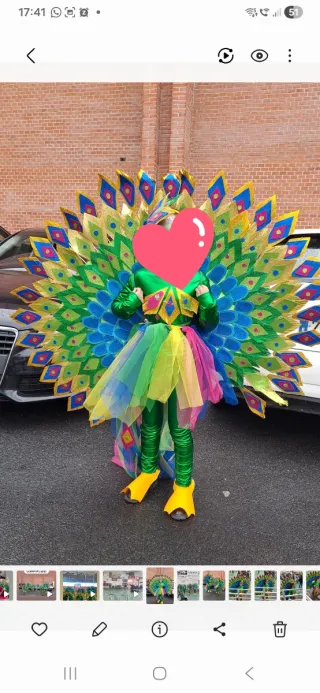 Traje de carnaval