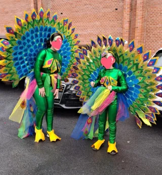 Traje de carnaval