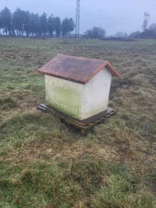 Caseta de hormigon para perro grande