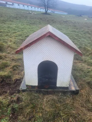 Caseta de hormigon para perro grande