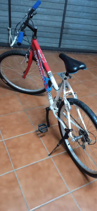 Bicicleta Montaña TOP TROTTER