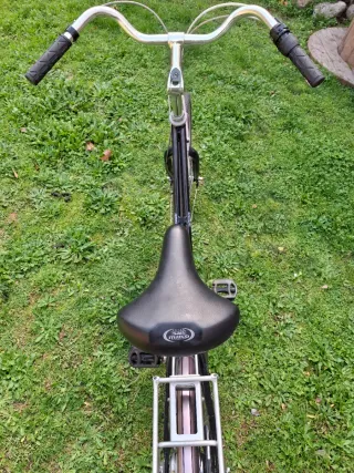 GIANT  Bicicleta Paseo