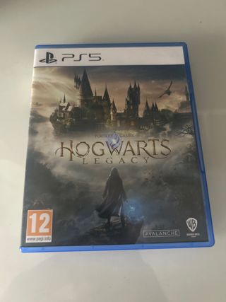 Hogwarts Legacy PS5