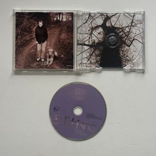 Sting - Mercury Falling CD