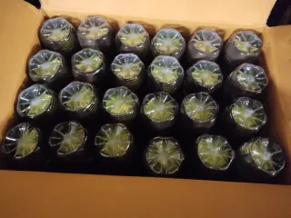 Cajón Pelotas Pádel