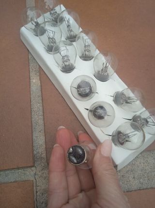 Bombillas veinticuatro voltios. 21/5