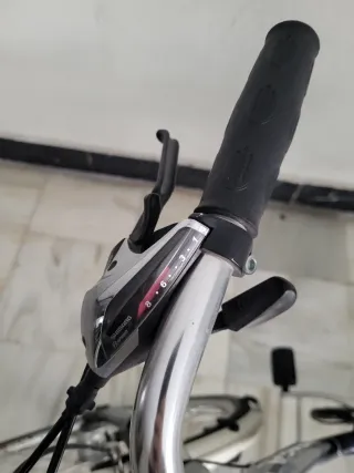 Bicicleta de paseo Siga