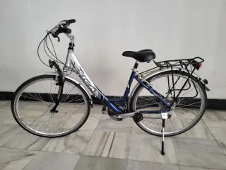 Bicicleta de paseo Siga