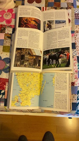 Lote de tres guías de viaje