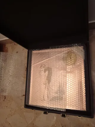 Album Matrimonio Vintage Serie Oro