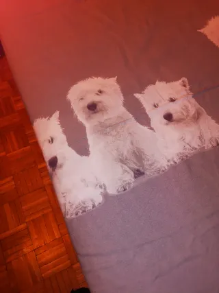 Sacco copri piumone piazza e mezza con cuccioli