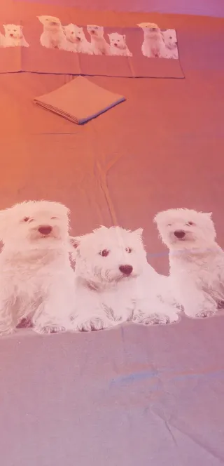 Sacco copri piumone piazza e mezza con cuccioli