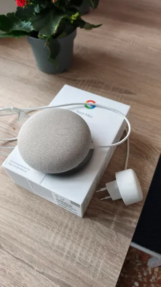Google Home mini