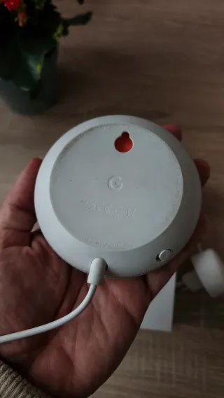 Google Home mini