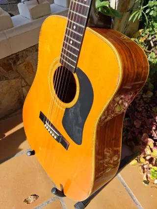 Guitarra acústica Washburn D-13N