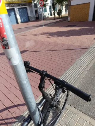 Bicicleta ciudad Talla XL - Ocasión.