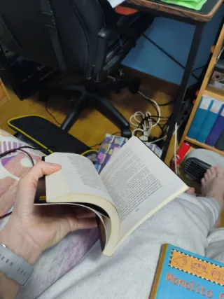 Admiración poética en la poesía española finale...