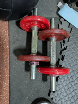 Discos y barra de gimnasio