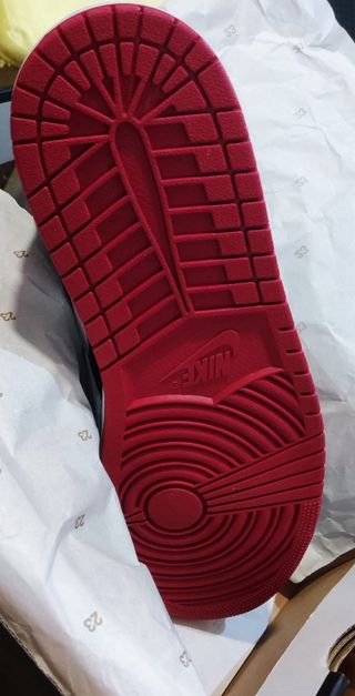 Air Jordan 1 MIND