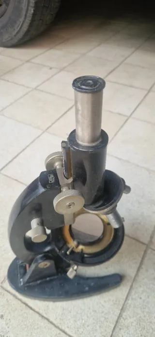 Microscopio Carl Zeiss