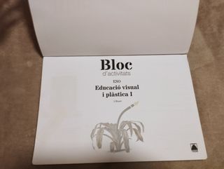 Bloc d'activitats. Educació visual i plàstica I...