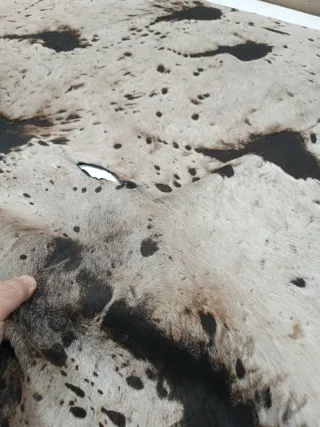 Piel de vaca decoración