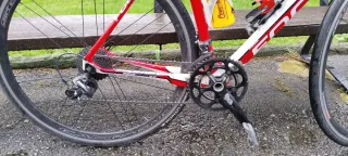 Bicicleta carretera Focus Cayo Evo