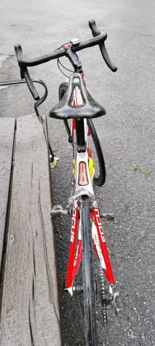 Bicicleta carretera Focus Cayo Evo