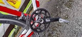 Bicicleta carretera Focus Cayo Evo